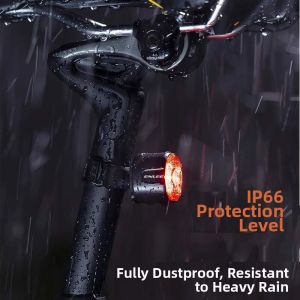 Colorful Smart Brake High-Brightness Tail Light