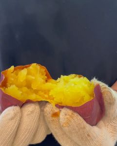 ‼️แท้จากญี่ปุ่น‼️มันหวานญี่ปุ่นเบนิฮารุกะแท้ จาก อิบารากิ คละไซต์ 1 กิโลกรัม หวาน หอม เนื้อเหลือง สินค้าเคลมได้