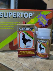 supertop ayam aduan memperpnjang nafas kuat agresif dan bertenaga extra