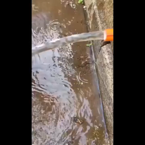 ดอกต๊าปเกลียว 1/2 นิ้ว 3/4 นิ้ว สําหรับซ่อมแซมท่อน้ําแตก 1 ชิ้น 2ชิ้น