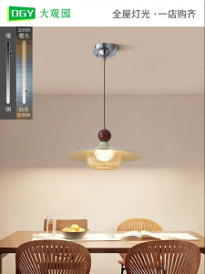 DGY | Protective Eye Creative Pendant Light
