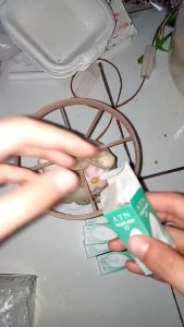 LAMPU BOHLAM CABE 5 WARNA E12 C7 15WATW L375 LAMPU NATAL LAMPU HIAS KAMAR RUANGAN