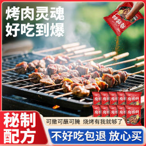Northeast BBQ Seasoning Air Fryer Spice Cumin Powder Marinated Meat Dip Restaurant Style Home Use Seasoning 20g Bag