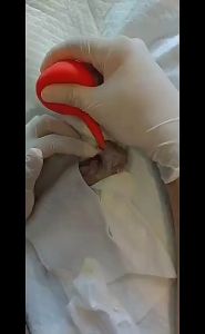 breathing rescue device kitten puppy amniotic fluid suction ball ear wash ball