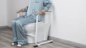 Chair Couch Sofa Stand Assist For Elderly Standing Aids Supports Toilet Rail Handle Safety Grab Bar
