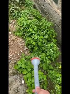 Alat Semprotan Tanaman Shower Nozzle Banyak Lubang Halus Cocok untuk Selang Pipa Siram Kaktus Tanaman Hias Hidroponik