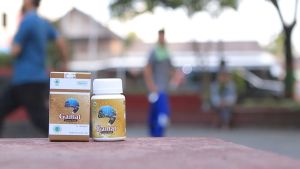 Obat Lambung Akut Kapsul Gamat Gold Hiu Original Mengatasi Radang Sendi Patah Tulang Luka Bakar