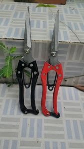 (FREESHIP) Combo 2 Kéo Tỉa Cành SK5 Kéo Tỉa Dăm Cây Cảnh Bonsai Made In Japan - Dụng Cụ Bonsai Hàng Nhật