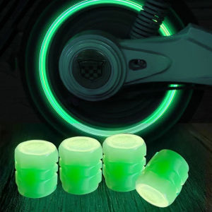 Luminous Valve Caps Fluorescent Green Blue Night Glowing Car Motorcycle Bicycle Wheel Styling Tyre Hub Luminous Cap Decor