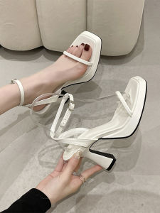 Fairy Style Womens Sandals 2025 New Summer Unique Versatile Thick Heel Buckle Strap Square Head Open Toe High Heels