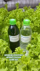 HYDROPONICS NUTRIENTS SOLUTION (500ML PAIR/1LITER PAIR) SUPERBLEND - FOR LEAFY VEGGIES/NFT SET UP/KRATKY METHOD