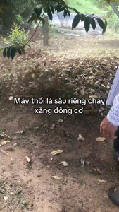 Máy thổi lá cây-thổi bụi chạy xăng 2 kỳ BLOWER công suất lớn siêu mạnhmáy đầy đủbảo hành 12 tháng