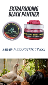 EXTRAFOODING BLACK PANTHER  MERAH 65 BUTIR - ayam bertenaga agresif