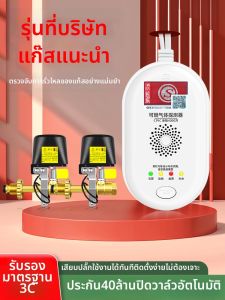Boleesch | Gas Leak Detector Alarm