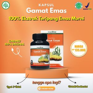 Kapsul Gamat Emas Asli Original - Jelly Gamat Kapsul 100% Terlaris ( RESMI ) Produk Bergaransi - Kapsul Gamat Mas - Gamat Emas - Herbal Multikhasiat - Wasilah Berkah Herbal