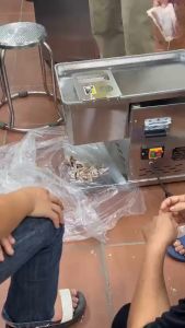 Máy Thái Thịt Tươi Sống QX260 Thái Nhanh Thái Đẹp Công Suất 1100W Bảo Hành 12 Tháng Lỗi 1 Đổi 1