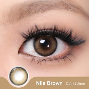 Magister Softlens Minus 14.2-14.5mm Soflen Minus Soflens Grey Brown