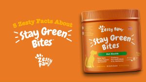 Zesty Paws Stay Green Bites for Dogs Gut Health - Chicken Flavor (90 Soft Chews) (EXP:07 2026)