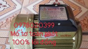 Motor điện  15hp tương  đương 11kw vòng tua 2900v/p dùng lắp máy băm cỏ