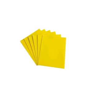 PISSA | Double-Sided Strong Adhesive Insect Catcher for Flies Fruit Fly Trap