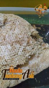 [FadliMaliki] Madu Sarang Tualang Asli Hutan Liar Raw Honey - 100gram (Bekas)
