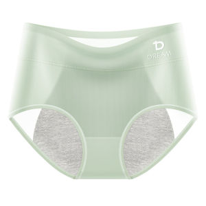 DREAM TIME | Womens Period Underwear Thin Breathable Summer Anti-Leakage Hygienic Panties Mid-Waist Antibacterial Nylon Solid Color Briefs