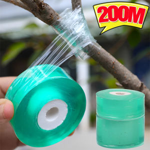 เทปซ่อมเทปพันกิ่ง PE แบบมีกาวในตัวยาว200เมตรฟิล์มห่ออุปกรณ์ปลูกต้นไม้เถามะเขือเทศผลไม้ต้นไม้อุปกรณ์ทำสวน
