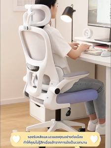 เก้าอี้ เก้าอี้สุขภาพ ฟังก์ชั่นคุ้มค่า Ergonomic chair เก้าอี้ออฟฟิศ เก้าอี้คอม Office Chair ตาข่ายพนักพิง เก้าอี้สำนักงาน เก้าอี้ผู้บริหาร ปรับเอนได้ เก้าอี้คนอ้วน เก้าอี้เพื่อสุขภาพ ราคาถูก เก้าอี้คอม มีล้อเลื่อน ปรับหมุนได้