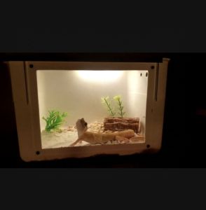 Box terarium Hamster Gecko Beard dragon reptil dll + Lampu termurah