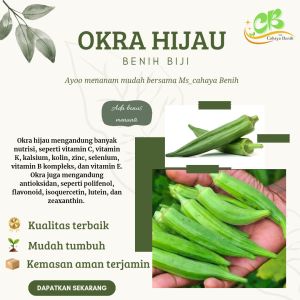 Benih okra hijau isi (100 butir)