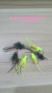Bimoo 6PCS #4 Brass Bead Head Girdle Bug Jig Fly Grizzly Rubber Legs Fast Sink Stonefly Barbed Jig Hook Wet Trout Fishing Lures