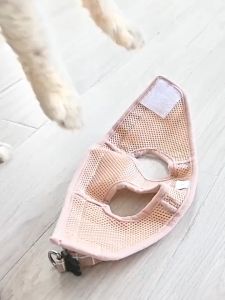 Pet Leash Vest Type Reflective Dog Plaid Cat Harness Set Breathable Cat Supplies Popular Plaid Design Pet Cat Harness Walking Leash Vest Adjustable Pet Leash