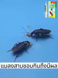 แมลงสาบทั้งหมดตายในชั่วข้ามคืน เจลกำจัดแมลงสาบ ติดเชื่อตาย1ตัวเป็นพิษตายยกรัง 10g/รองรับ ได้ผล100% ฆ่าแมลงสาบต่อเนื่อง ยาไล่แมลงสาบ เจลแมลงสาบ ยาฆ่าแมลงสาบ เจลฆ่าแมลงสาบ เห็นผลชัดเจนใน 24 ชั่วโมง ปลอดภัยและไม่มีกลิ่น กำจัดแมลงสาบ ยากำจัดแมลงสาบ