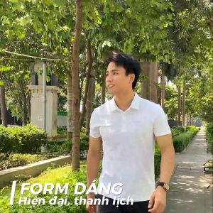 Áo polo nam MENTORIS chất vải coolmax thể thao co giãn thoải mái thoáng khí  bền màu thiết kế họa tiết trẻ trung năng động MPL01