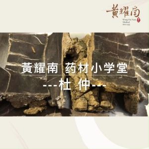 Wong Yiu Nam Natural Eucommia Ulmoides 杜仲 (70g)