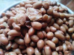 KACANG PRESTO UMPAN MANCING BAWAL
