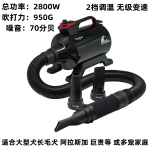 Large Power Quiet Pet Dryer Cat Dog Blow Water Machine Speed Dryer Brush Motor Constant Temperature Large Dog Teddy Golden Retriever
