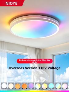 NIOYE | Natural Light Sky Ceiling Light