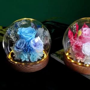 Globe Cloche Glass Dome with Wooden Base Round Glass Display Dome for Desserts Plants & Keepsakes Sphere Cloche Bell Jar