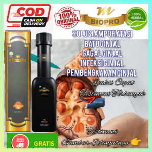 Obat Batu Ginjal Herbal Paling Ampuh Isi 380 ml M Biopro Herbal Asli Reaksi Cepat