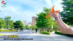 V Shaped Boomerang Flying Disc Throw Catch Wooden Return Dart Flying Outdoor Game Kids Toys Parent-child Interactive Game Props V Shaped Boomerang Toy Kids Throw Catch Outdoor Game Plastic Toy