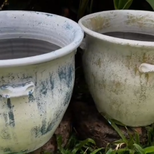 กระถางดินเผาทรงอ่างอ้วนปากบาน มีหู 4 หู ขนาด 40 x 32 cm.