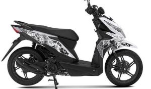 striping Medusa beat