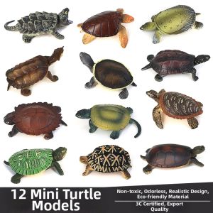 Bộ Mô Hình Rùa Nhỏ Realistic
