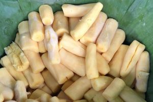 tape singkong kuning mentega 2kg