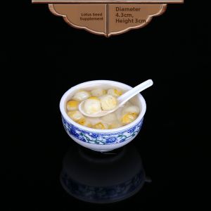 HANYIMOWAN | Mini Realistic Food Models
