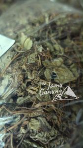 Daun Pegagan 1kg atau Antanan Kering - Bersih