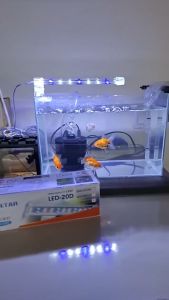 ไฟ LED พิพิธภัณฑ์สัตว์น้ำ โคมไฟ พืชน้ำ ตู้ปลาแบบหนีบขอบตู้ ปลากัด BONETAR D10 / D20 / D30 / D40 อ่างเลี้ยงปลา