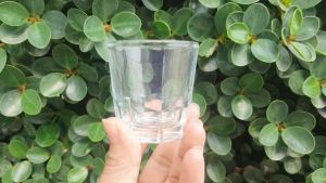 LUCKY แก้วช็อต รุ่น Sokuu Shot Glass LG-441002 ขนาด 2.1 ออนซ์ 144 ใบ