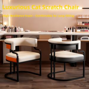 Luxurious Dining Chair Beauty Salon Reception Makeup Chair High-End Single Sofa Chair Backrest Chair for Nail Salon And More